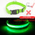 USB Charging Led Dog Collar Anti-Lost/Avoid Car Accident Collar For Dogs Puppies Dog Collars Leads LED Supplies Pet Products