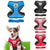 Breathable Small Dog Pet Harness and Leash Set Puppy Cat Vest Harness Collar For Chihuahua Pug Bulldog Cat arnes perro